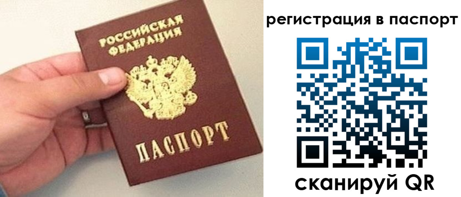прописка законно в Пушкино